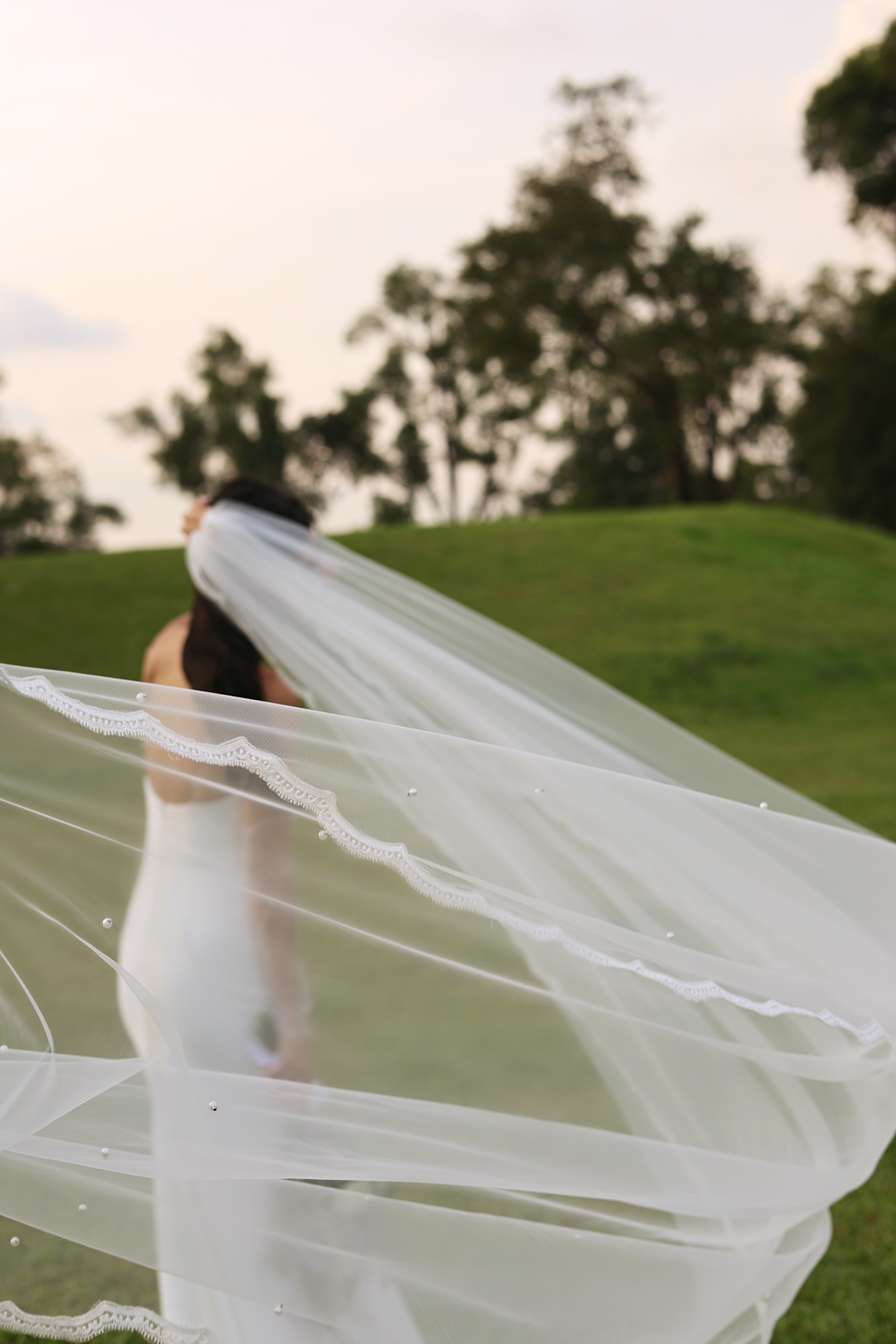 Charlotte Lace Veil | Bone & Grey Bridal Accessories
